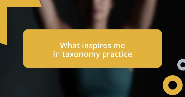 What inspires me in taxonomy practice